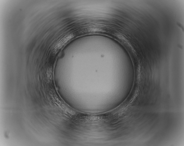 X0000100320785200806261225