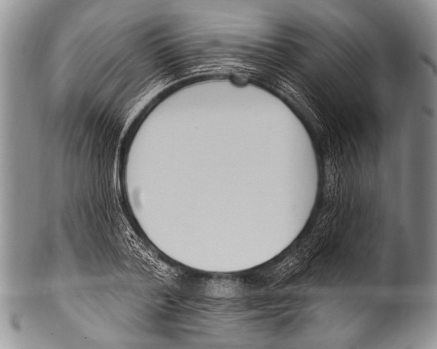 X0000100320788200806261225