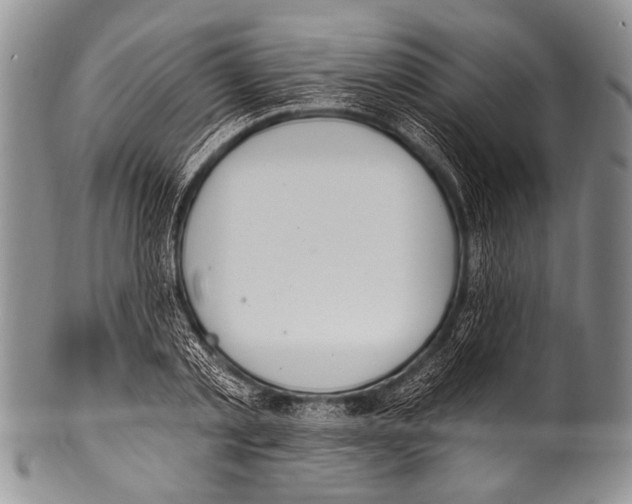 X0000100320789200806261225