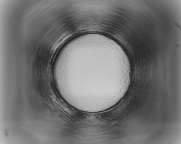 X0000100320790200806261225