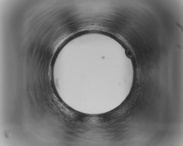 X0000100320791200806261225