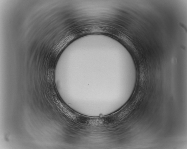 X0000100320793200806261225