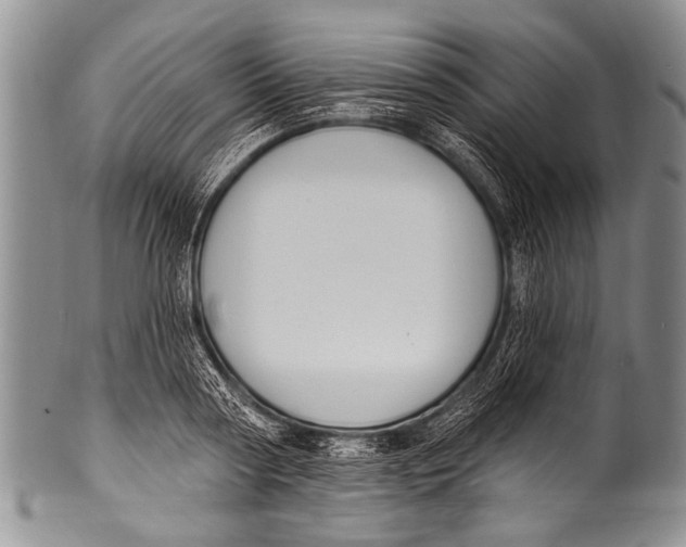 X0000100320794200806261225