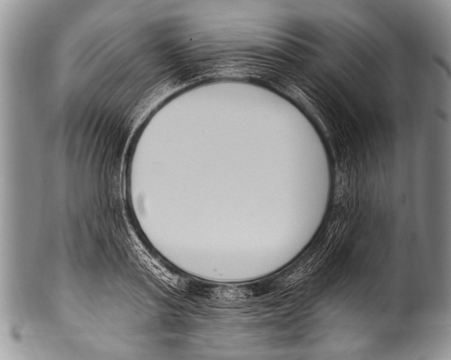 X0000100320795200806261225