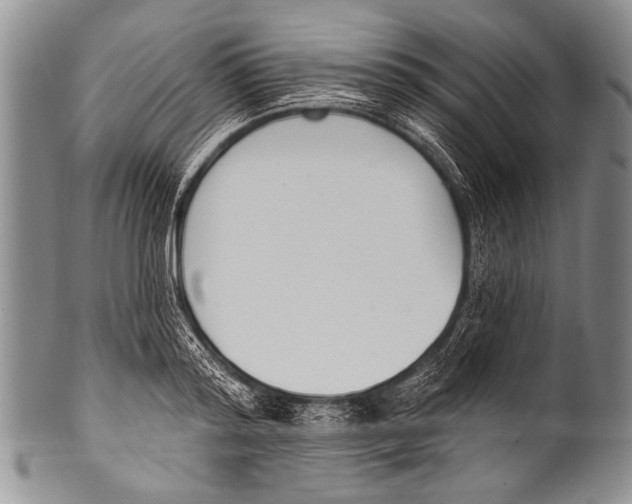 X0000100320796200806261225