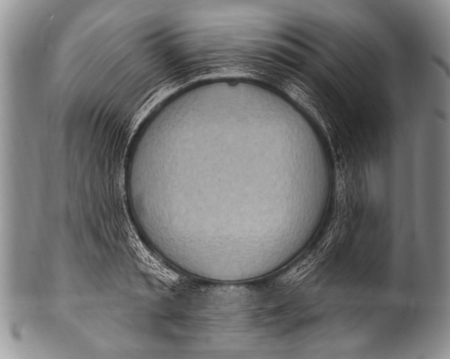 X0000100320797200806261225