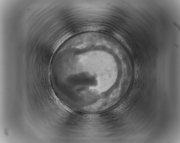 X0000100320802200806261225