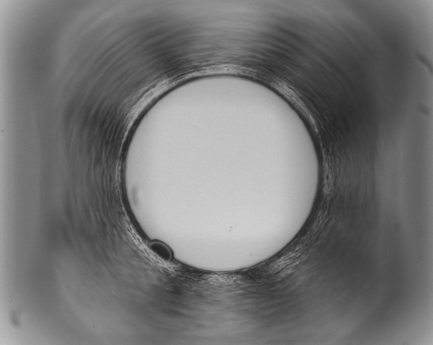 X0000100320805200806261225