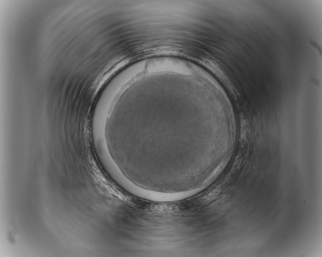 X0000100320806200806261225