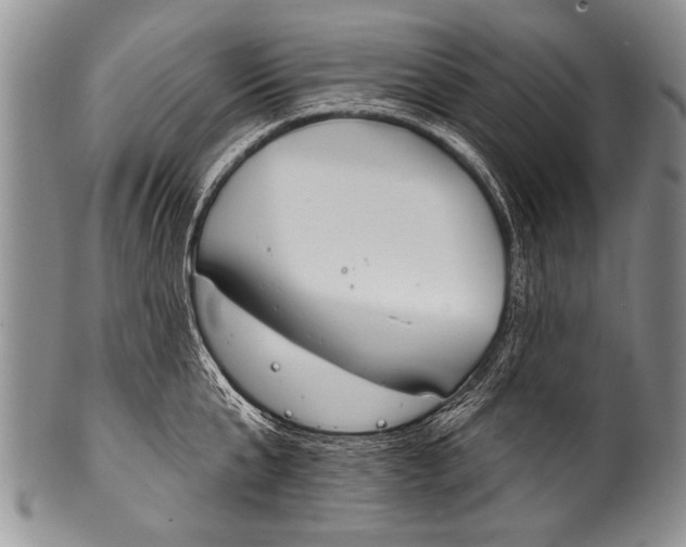 X0000100320807200806261225