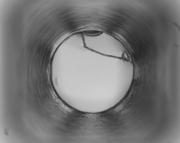 X0000100320812200806261225