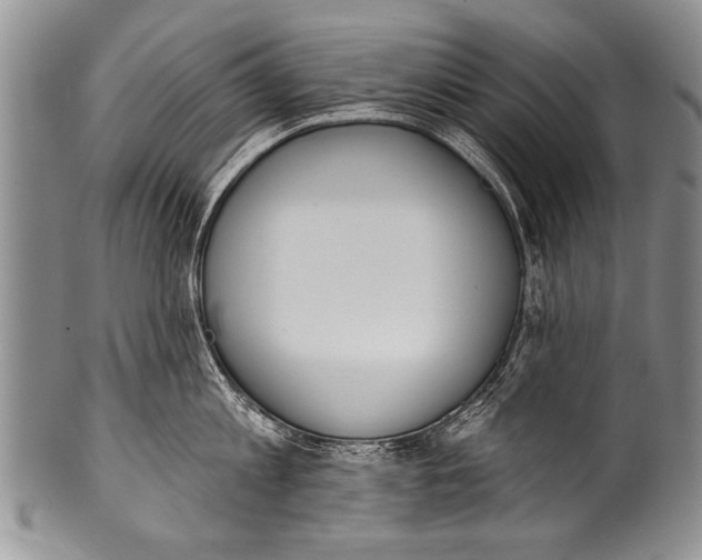 X0000100320813200806261225