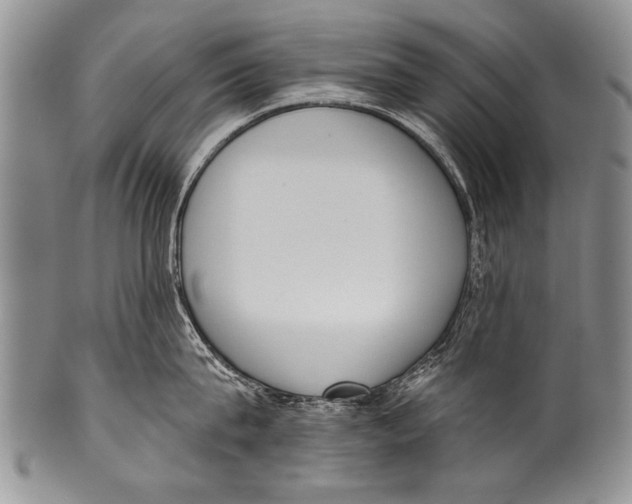 X0000100320815200806261225