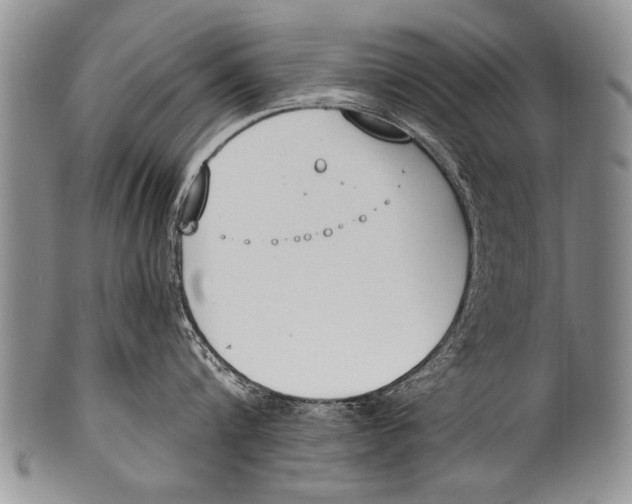 X0000100320816200806261225