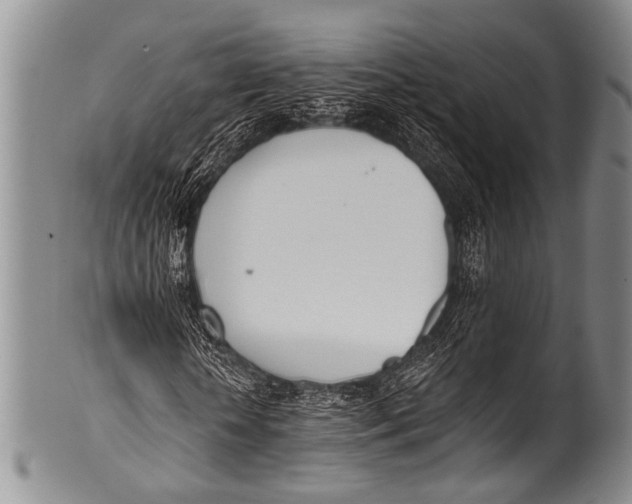 X0000100320818200806261224