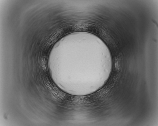 X0000100320819200806261224