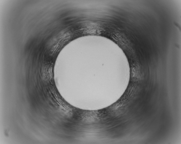 X0000100320820200806261224