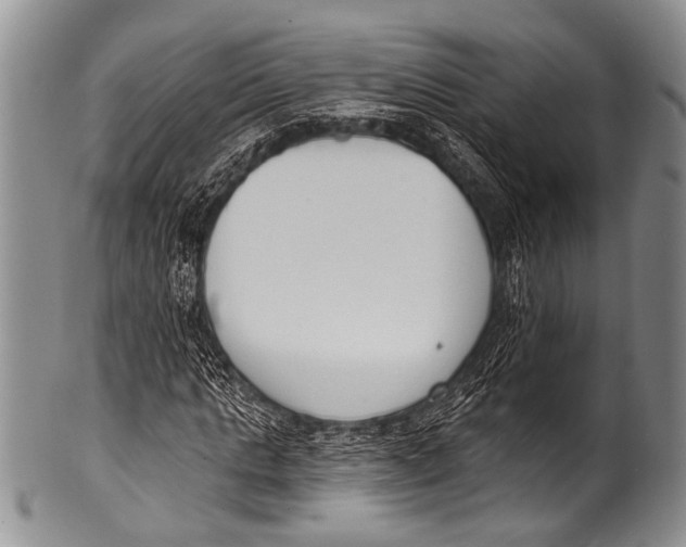 X0000100320821200806261224