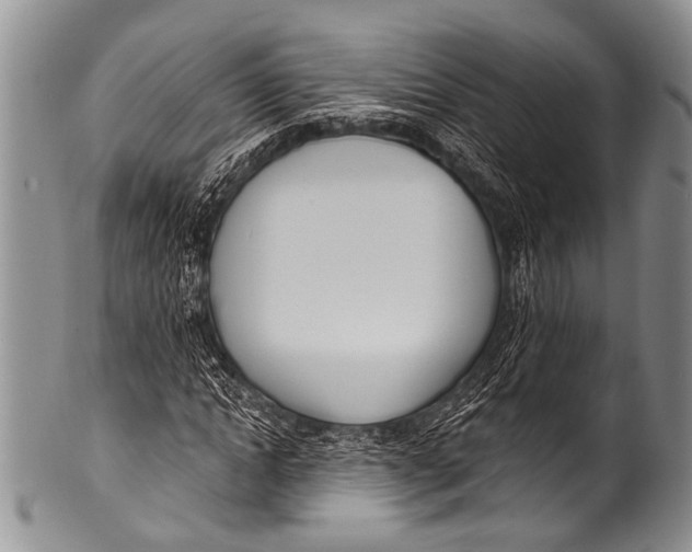 X0000100320822200806261224