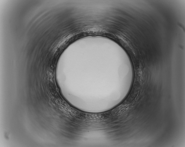 X0000100320823200806261224