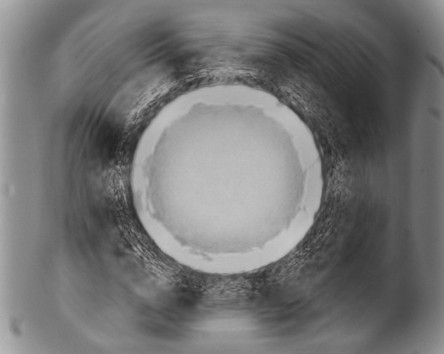 X0000100320824200806261224