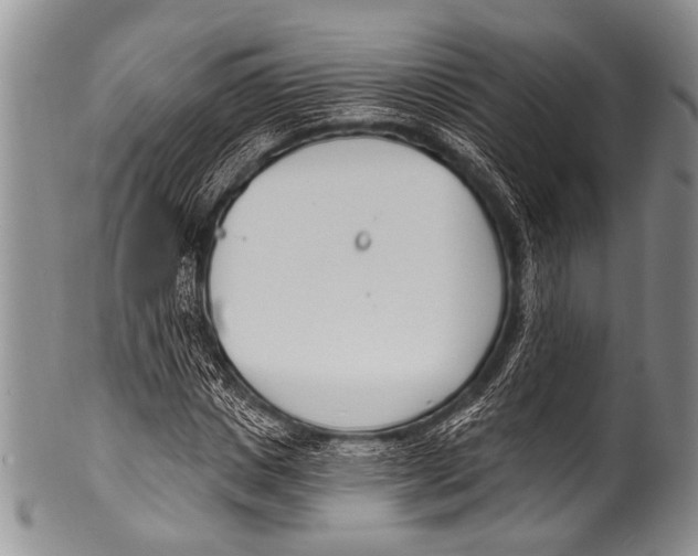 X0000100320825200806261224