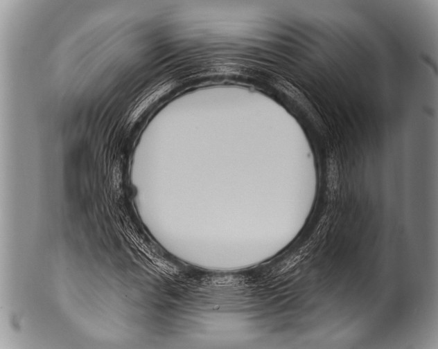 X0000100320826200806261224