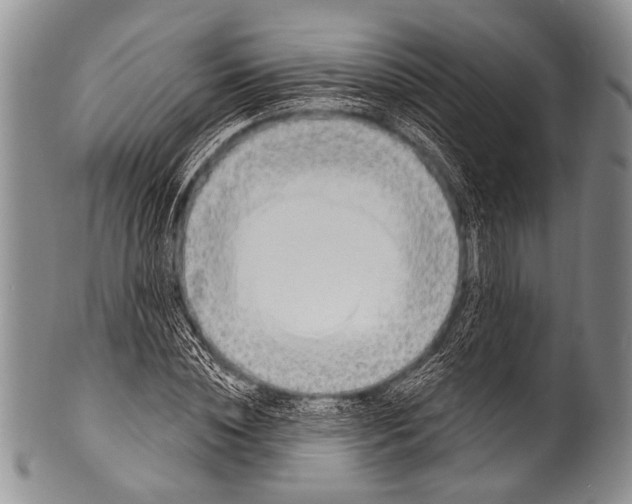 X0000100320828200806261224