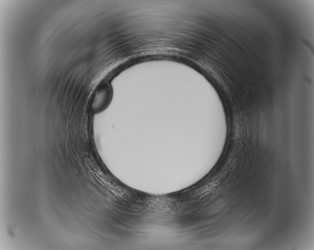 X0000100320830200806261224