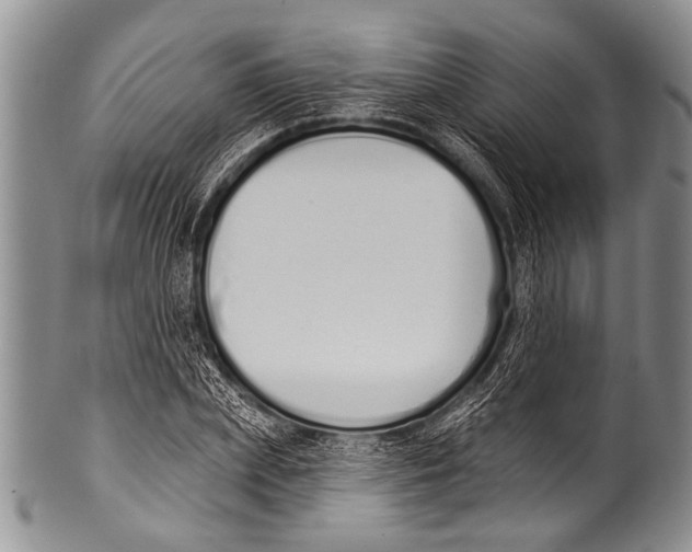 X0000100320831200806261224