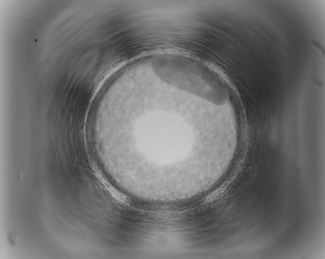 X0000100320832200806261224