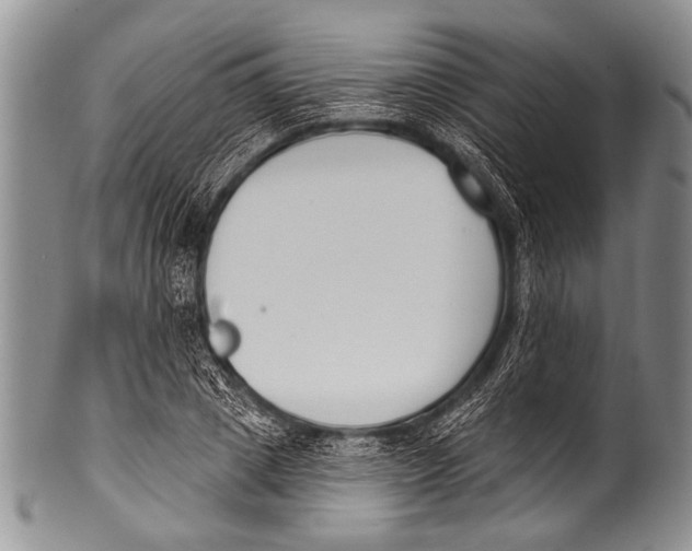 X0000100320833200806261224