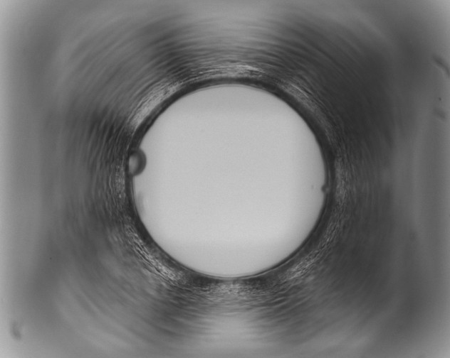 X0000100320834200806261224