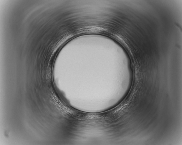 X0000100320835200806261224