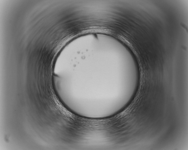 X0000100320836200806261224