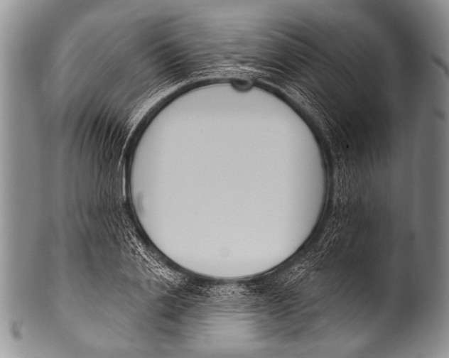 X0000100320838200806261224