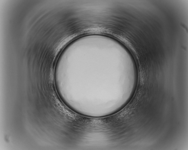 X0000100320839200806261224