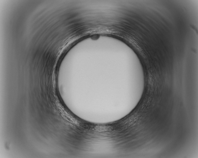 X0000100320840200806261224