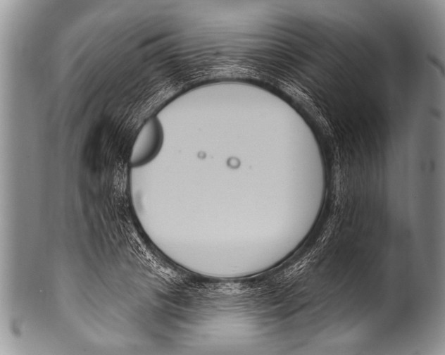 X0000100320841200806261224