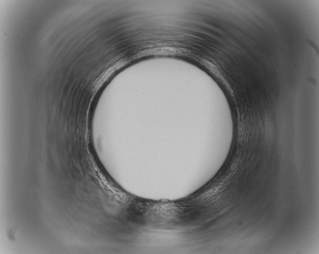 X0000100320845200806261224