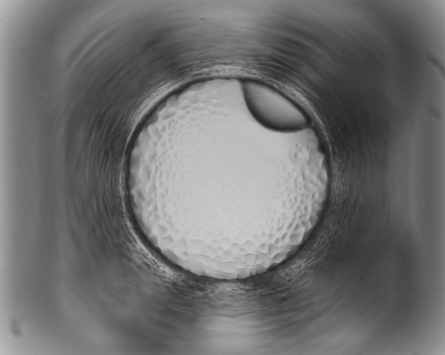 X0000100320847200806261224