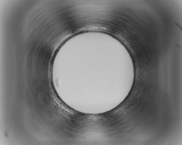 X0000100320848200806261224