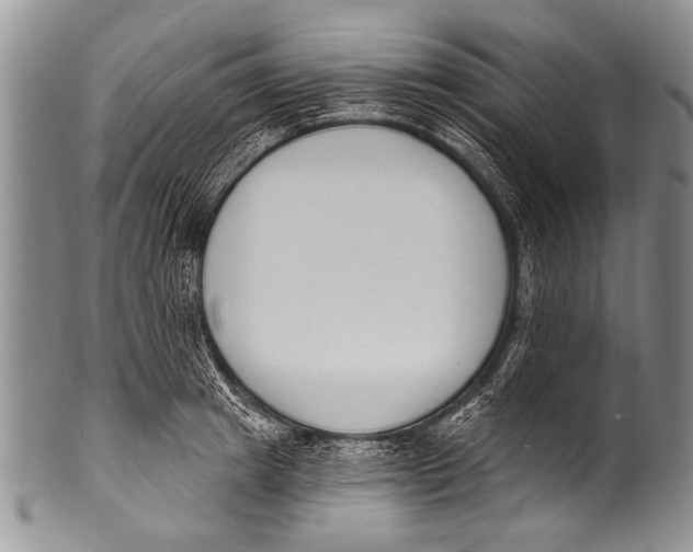 X0000100320849200806261225