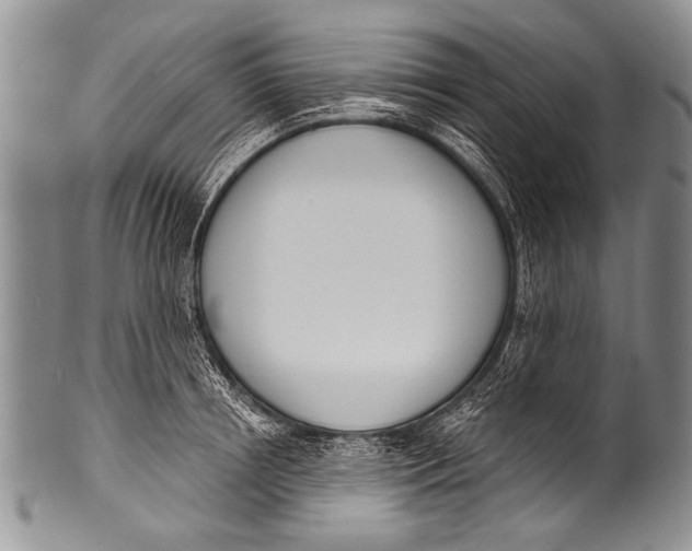 X0000100320850200806261225