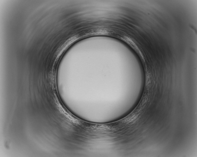 X0000100320851200806261225