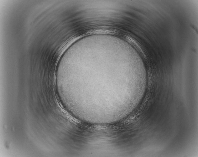 X0000100320852200806261225