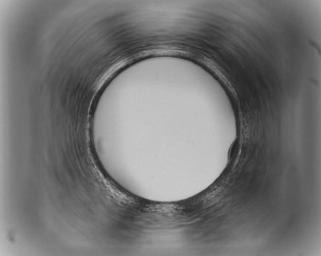 X0000100320853200806261225