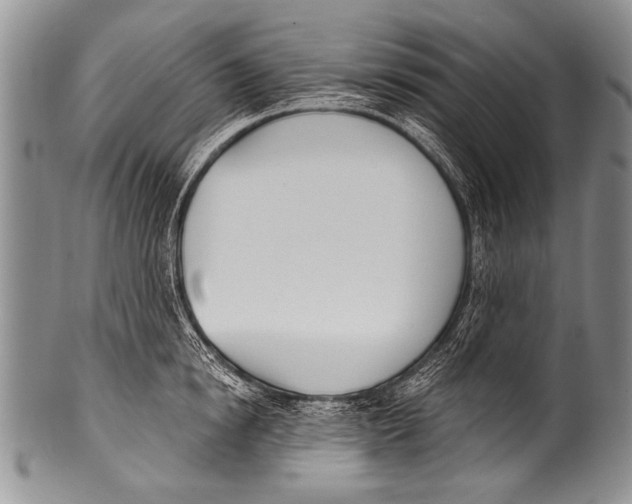 X0000100320854200806261225