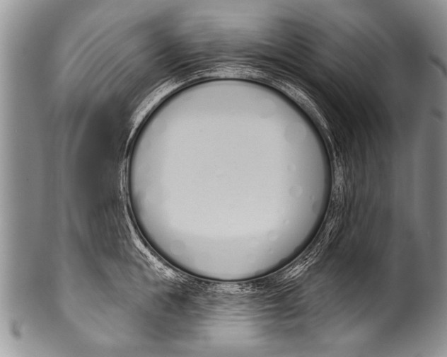 X0000100320855200806261225