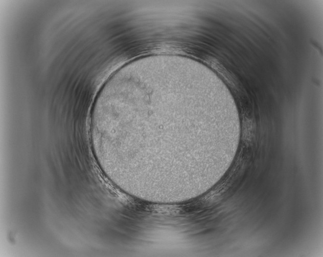 X0000100320856200806261225